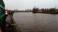 Rensel winschoten