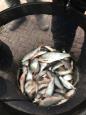 IMG-20171229-WA0008