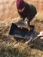 IMG-20180303-WA0009