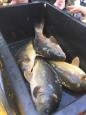 IMG-20180303-WA0019