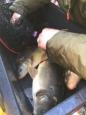IMG-20180303-WA0020